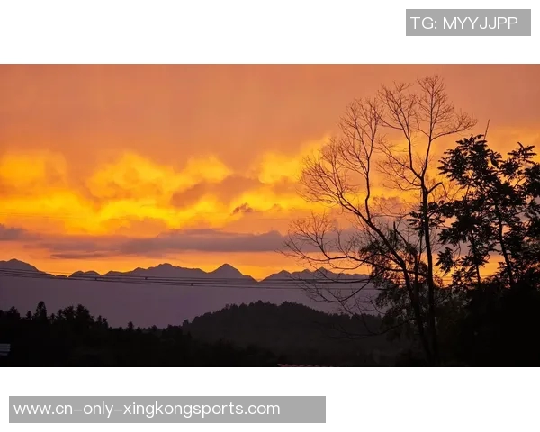 夕梅映晚霞情深似海的诗意人生探寻之旅